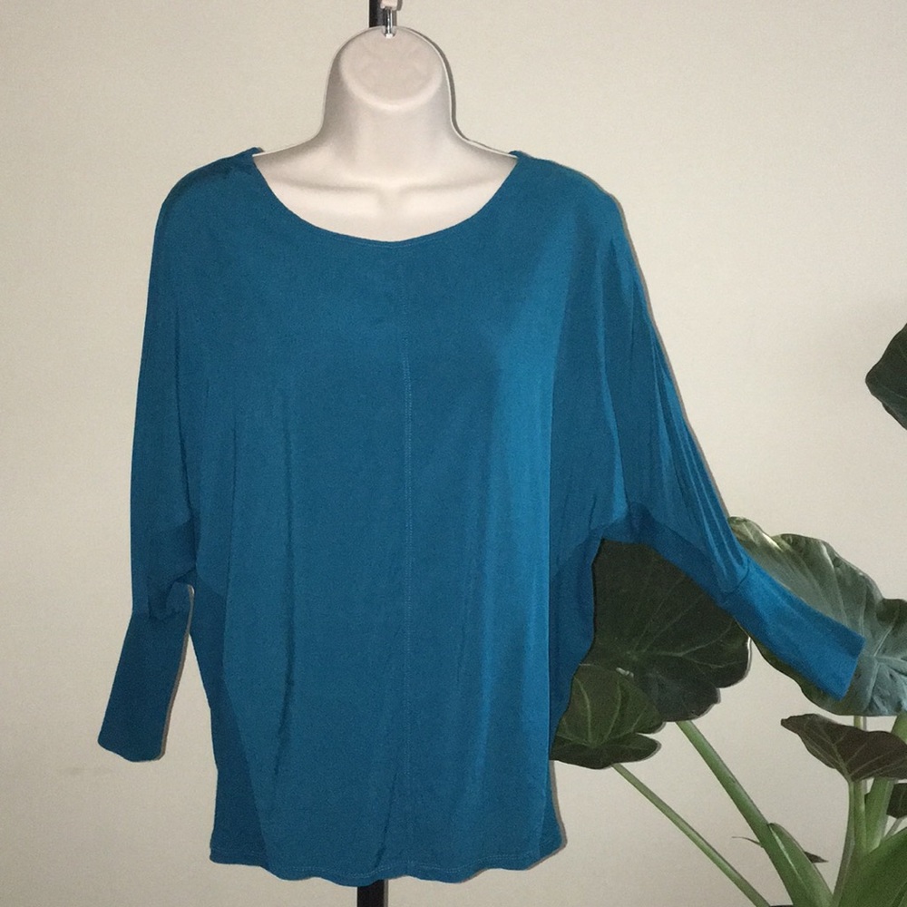 Two by Vince Camuto Blue Dolman Sleeve Top
